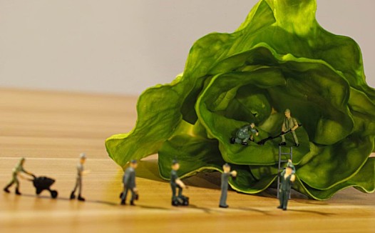 连线家晚报 | 互联网生鲜品牌“迷你生鲜”崩盘 | 百胜中国三季度营收同比增长8%,新开店231家 | 支付宝宣布将帮助1000家支付服务商完成数字化转型 | 商务部:跨境电商零售进口额同比增长超30% | 天猫双11多品牌半价卖车,最低价仅需2.09万