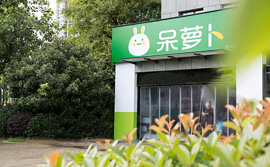 呆萝卜资金链紧张，自提模式的下一步往哪走？