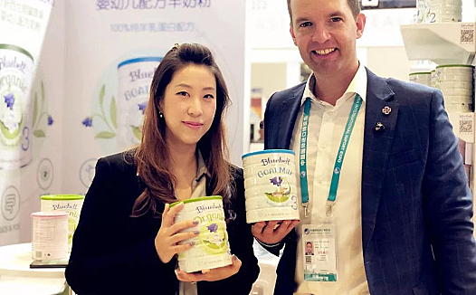 100%纯羊乳配方羊奶引发围观,4倍乳铁蛋白营养新品首秀