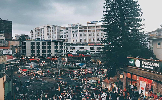 双十一成社交电商主场，这场下沉之战怎么打？