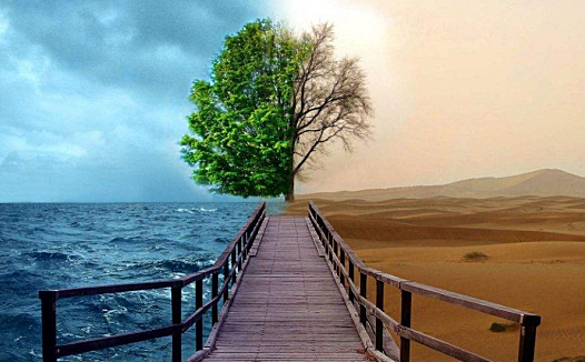 矛盾体爱奇艺:财报背后的内容成本高企与会员付费高成长