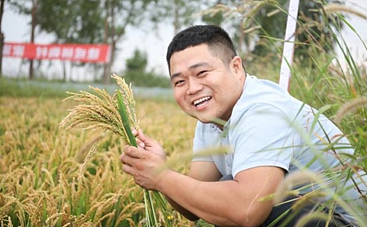 盘活农村经济,苏宁“拼购村”爆红的启示