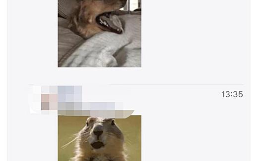 支持朋友圈评论发表情包 微信iOS版7.0.9正式版更新新功能