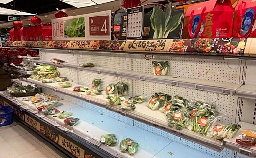 用户熬夜抢菜,公司“起死回生”,疫情中的生鲜电商在拼供应链