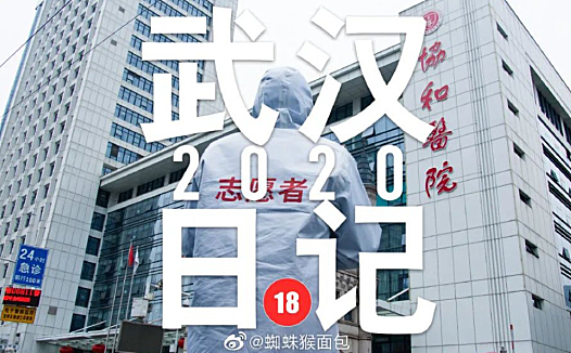 武汉日记,寻找大历史的「失踪者」