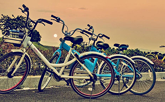 哈啰筑巢,单车收网,精细化运作才是下半场的主和弦