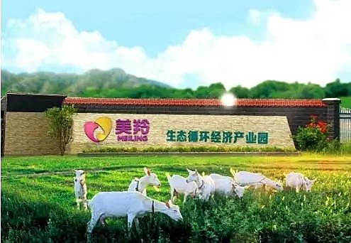 红星美羚IPO六重关