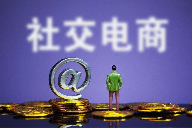 巨头侵蚀下，社交电商的“蜂群”当如何生存？