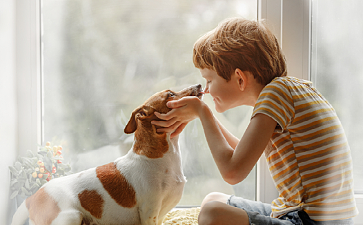 宠物经济:细分市场更风靡?