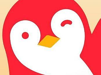 重磅砝码“种草号”登场，腾讯小鹅拼拼突围社交电商赛道