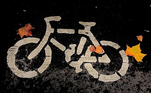 揭秘共享两轮行业:泾渭分明下的分叉路