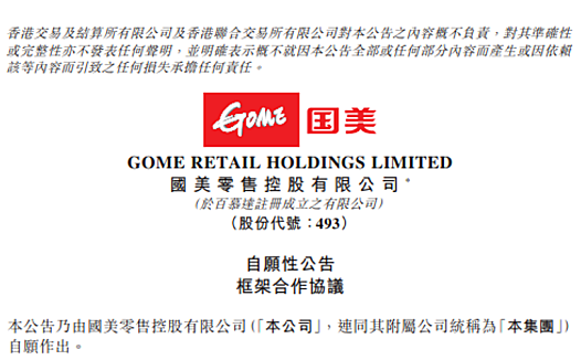 新资本注入 国美誓将开放进行到底