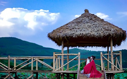 头部自媒体被“招安”，是优质内容的一场“溃败”