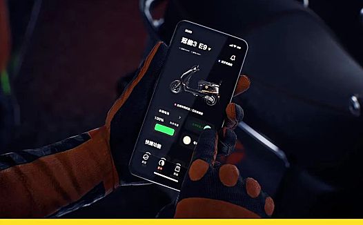 出海,是雅迪的解药吗?