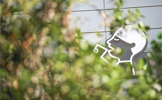 高端茶饮在消失，奈雪喜茶们开始躺平？