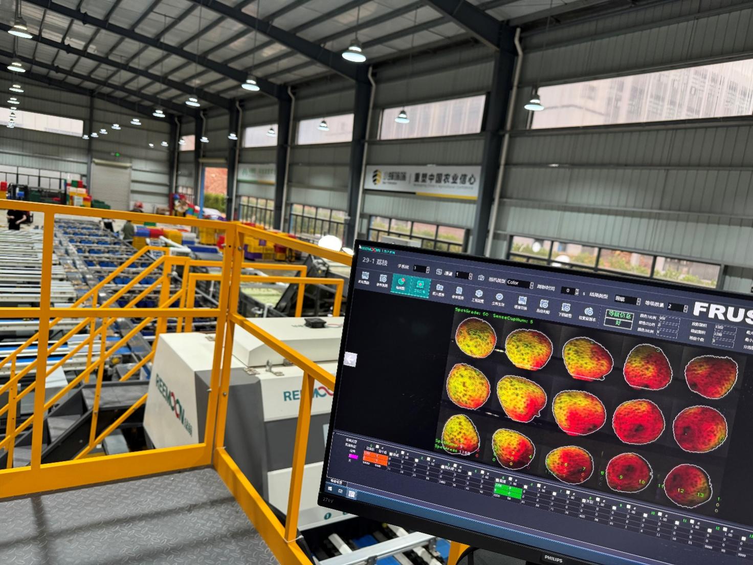 助力“百千万工程” 广东荔枝坐稳拼多多618百补农货C位