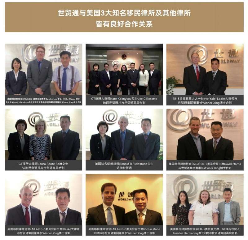 链接全球政律资源,世贸通以合规网络夯实移民服务专业底座